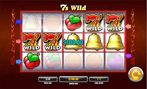 Wild Joker Online Casino: In-Depth Testimonial of Gamings, Benefits, and Customer Experience